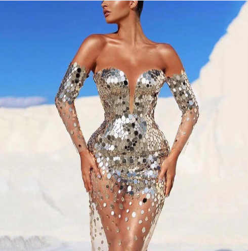 Women's Sexy Silver Dress Fashion Sexy Long Sleeves Organza Skirt